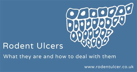 About rodent ulcers | Rodent Ulcers - what they are and how to deal ...