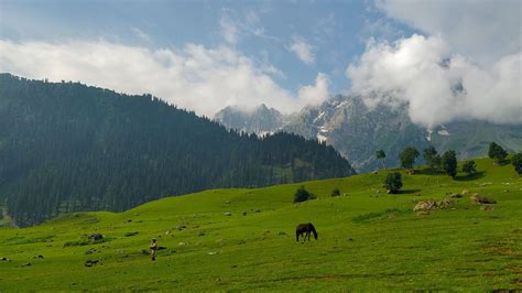 Sonmarg - History, Sightseeing, Things To Do, How to Reach | Adotrip