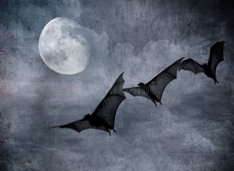 Bats In The Dark Cloudy Sky, Halloween Background Stock Illustration ...