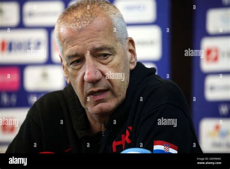 The coach of the Croatian basketball team, Aleksandar Petrovic, during ...