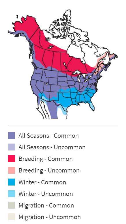 The Mallard Migration — Conservation Law Center