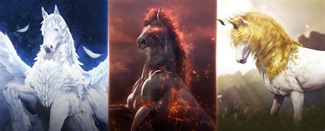 [GM Notes] Meet your Dream Horse! | Black Desert NA/EU