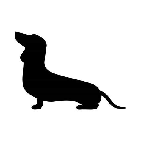 Dachshund Silhouette Svg Free - 1066+ File for DIY T-shirt, Mug, Decoration and more - Fee SVG ...