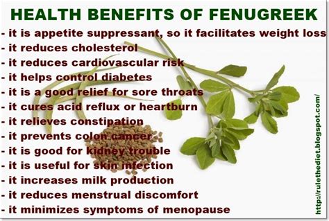 Fenugreek Health Benefits | what is fenugreek fenugreek also known as greek hay and methi is an ...