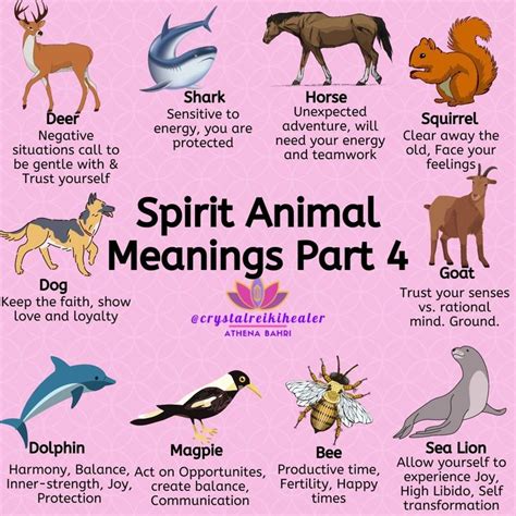 the different types of animals that are in each animal's body and their ...