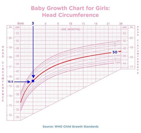 Free Baby Growth Charts (Weight and Length): The First 36 Months | purshoLOGY