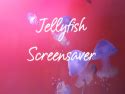 Jellyfish Screensaver | Roku Guide