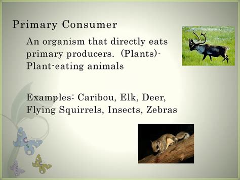 Biotic Factors: The living parts of an ecosystem. - ppt download