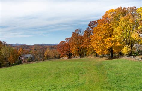 Pomfret, Vermont Fall Foliage 2019 | Anthony Quintano | Flickr