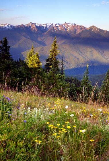 25 Most Beautiful Mountains of Washington State