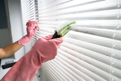 How To Clean Dust Off Blinds | Storables