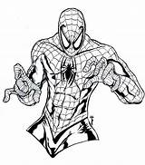Free Printable Spiderman Coloring Pages For Kids sketch template
