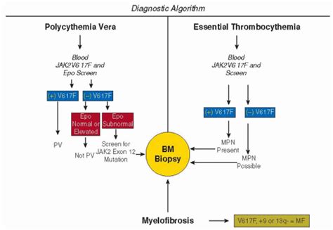 Myeloproliferative Neoplasms and Thrombohemorrhagic Complications | Oncohema Key