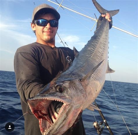 How to Catch Kingfish - Kingfish Charters in Miami, Florida