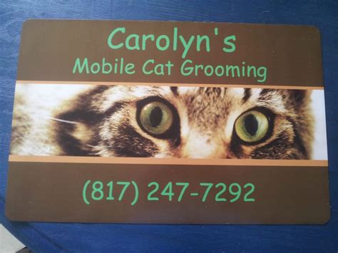 Carolyn’s Mobile Cat Grooming - Pet Groomers - Eastside - New Braunfels, TX - Reviews - Photos ...