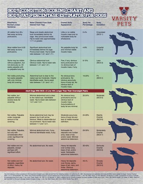 Introducing the Varsity Pets Canine Body Condition Scoring Chart - The ...