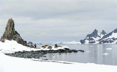 How to Visit Half Moon Island on an Antarctica Cruise with Seabourn