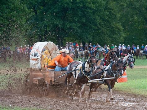 National Chuckwagon Race Championship - Sports Illustrated