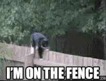 Sitting On The Fence GIFs | Tenor