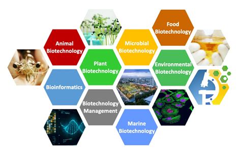 Microbial Biotechnology – BBTech