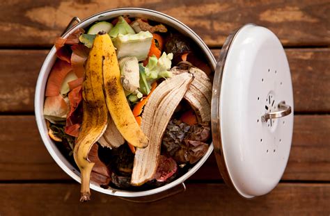 These Inedible Food Scraps Are Perfect for Composting - thebeerhousecafe