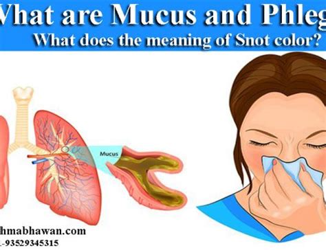 How does the color of your snot indicate your health? Archives - Asthma ...