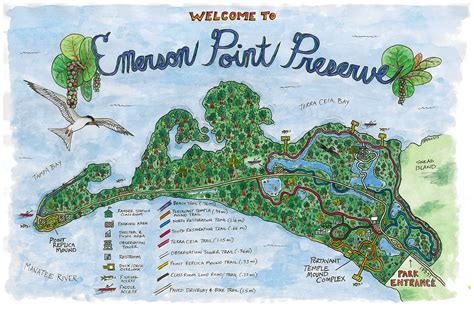 Emerson Point Preserve | Florida images, Kayak trip, Florida travel