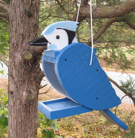 The Best Blue Jay Bird Feeders for Peanuts - Birds and Blooms