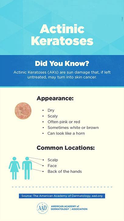 Actinic Keratosis: Diagnosis and Treatment - Dermatology Surgery Center - Niceville, FL ...