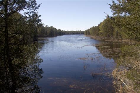 Bass River State Forest | njHiking.com