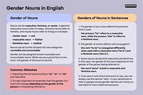 Noun Gender | Promova Grammar