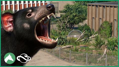 Tasmanian Devil Habitat | Elm Hill City Zoo | Planet Zoo - YouTube