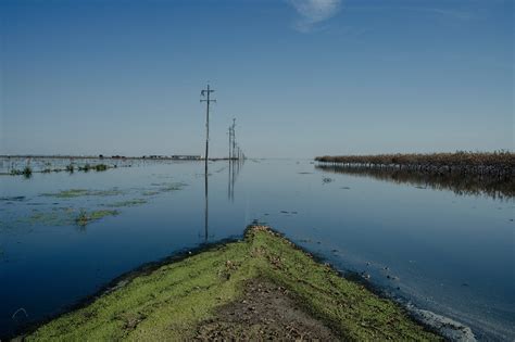 A Vast Lake Has Captivated California Where Farms Stood a Year Ago - The New York Times