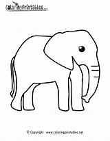 Elephant Coloring Page  A Free Animal Printable sketch template