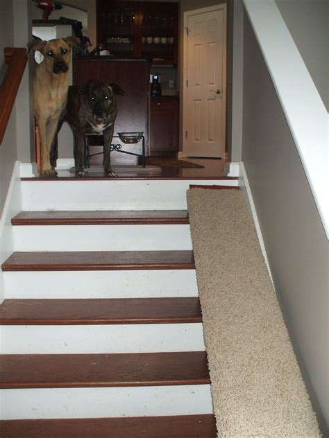 The Best Ideas for Diy Dog Ramp for Stairs - Home, Family, Style and Art Ideas