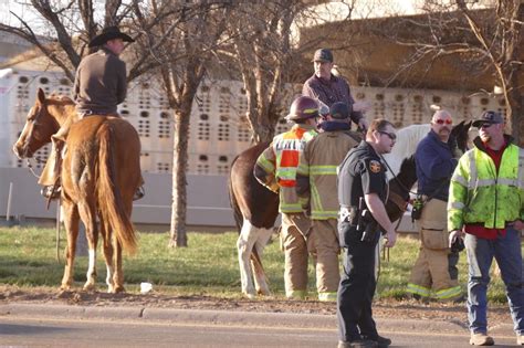 Cattle truck overturns allowing cows to run loose on I-27 | KVII