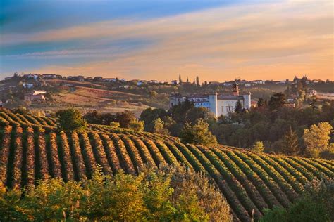 5 Interest Facts About Piedmont Region in Italy • Alba Wine Tour