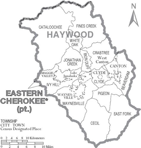 Map of Haywood County North Carolina With Municipal and Township Labels - Haywood County, North ...