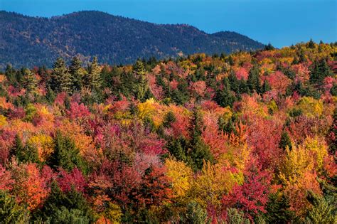 How to See New England Fall Foliage at Its Peak