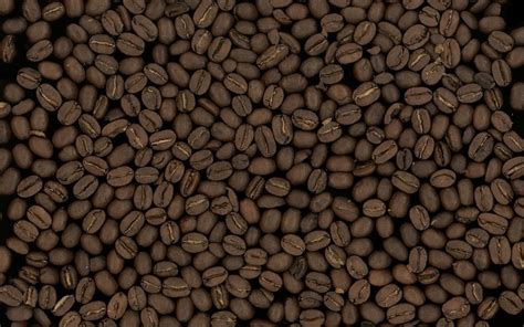 Fondos de pantalla : granos de café, textura, fondo, grano 2560x1600 - 4kWallpaper - 1097405 ...