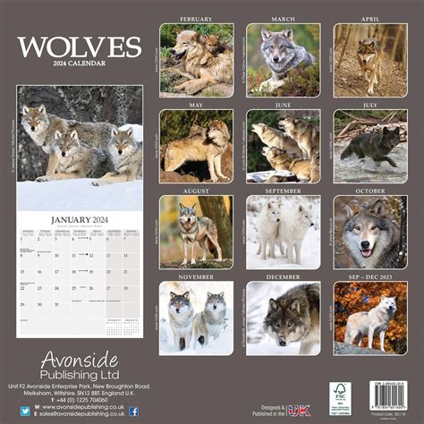 Wolves Wall Calendar 2024 by Avonside Publishing 240667