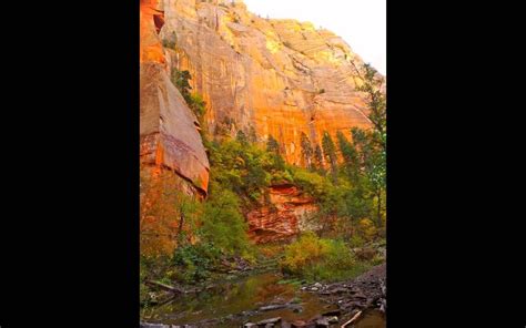 West Fork of Oak Creek Canyon - Sedona Fall colors | Oak creek canyon ...