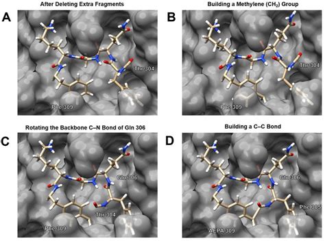 Building the cyclic peptide. A: The structure of the substrate after... | Download Scientific ...