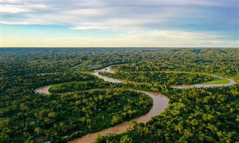 How Big Is the Amazon Rainforest? Compare Its Size in Miles, Acres ...