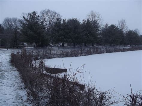 Winter in Mount Laurel, NJ | Mount laurel, Laurel, Natural landmarks