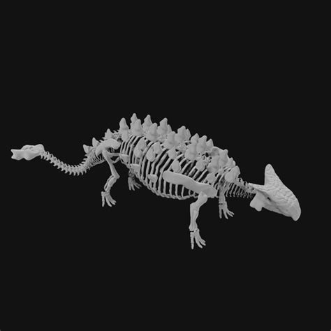 Ankylosaurus-Skelett 3D-Modell - TurboSquid 1969527