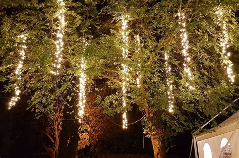 Hanging Lights From Trees Wedding