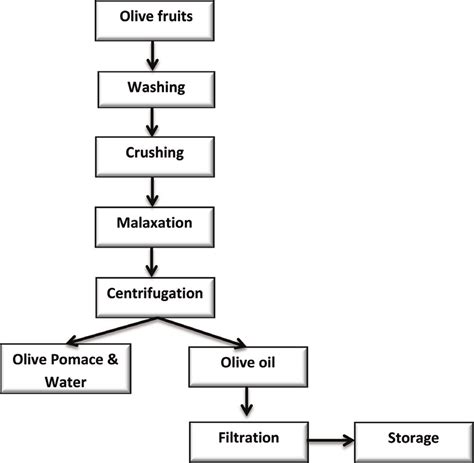 Flow chart of olive oil extraction. | Download Scientific Diagram