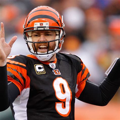 Carson Palmer Bengals