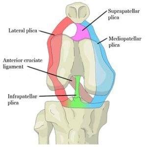 6 Best Exercises For Plica Syndrome